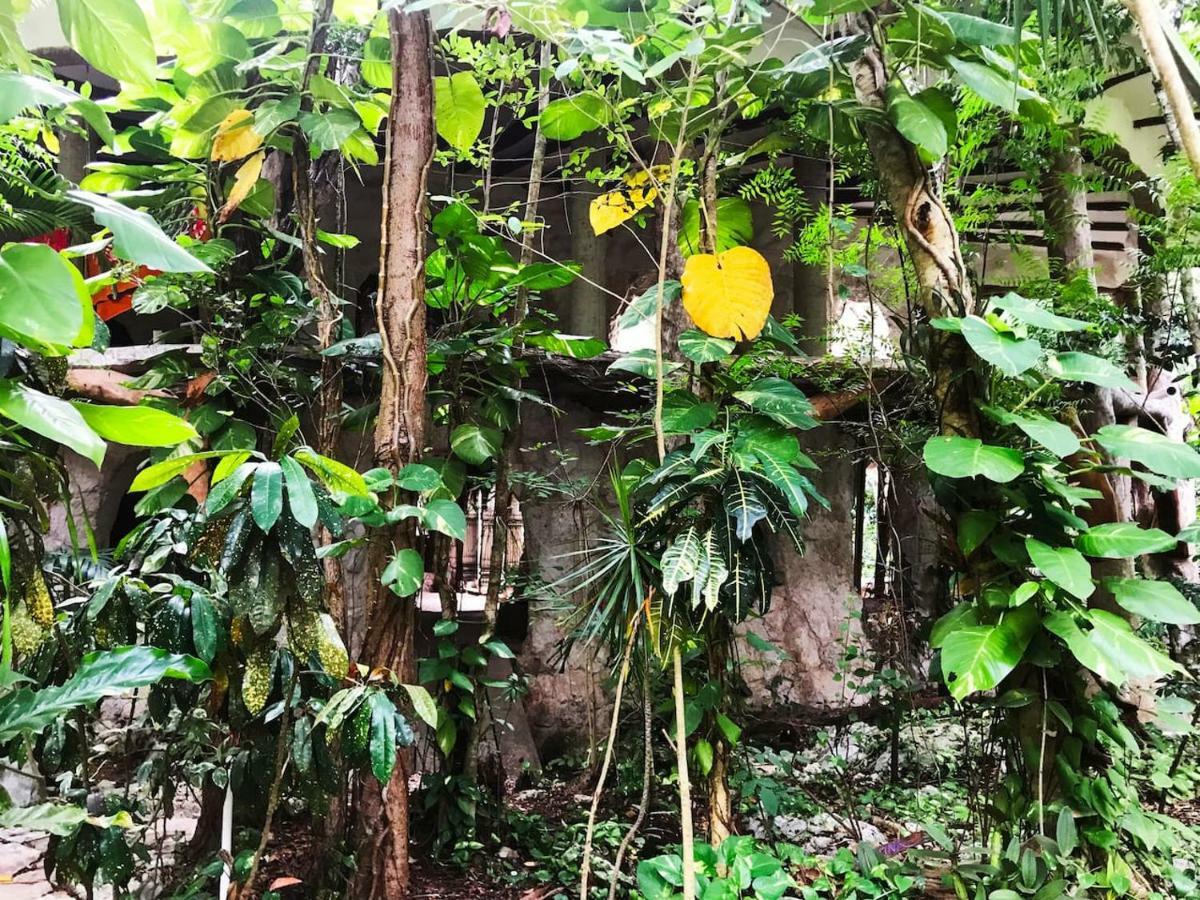 Portal Xibalba Hotel Playa del Carmen Luaran gambar