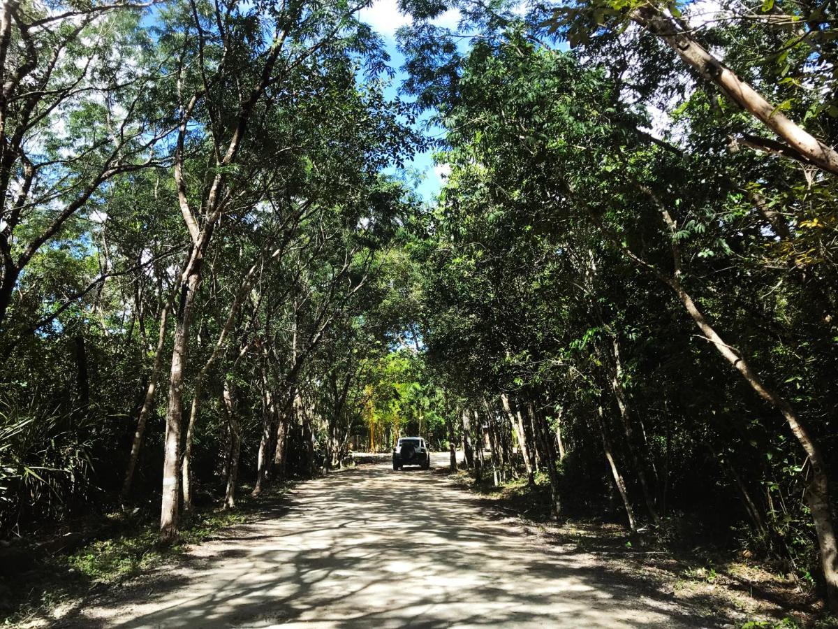 Portal Xibalba Hotel Playa del Carmen Luaran gambar
